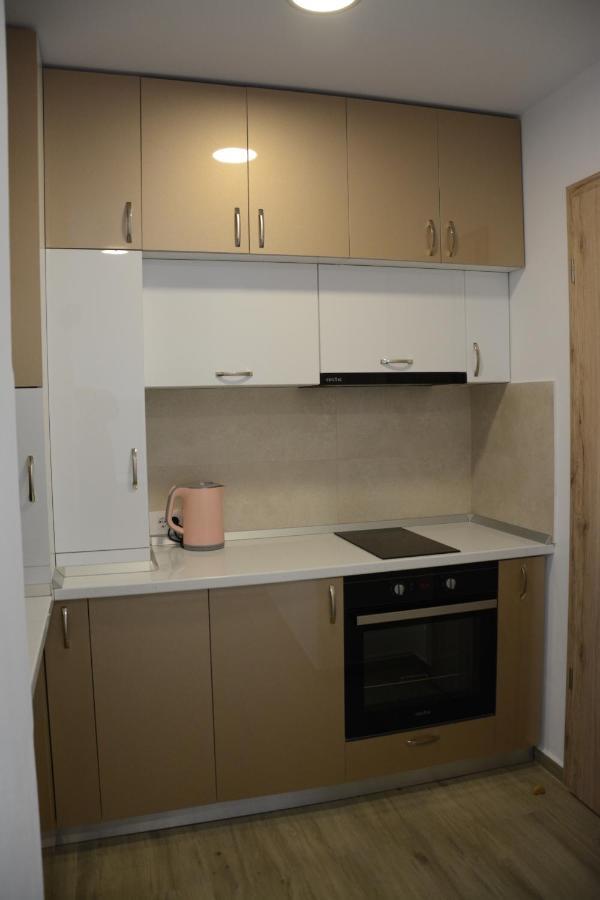 Luxury Panorama Apartament,Coresi Braşov Buitenkant foto